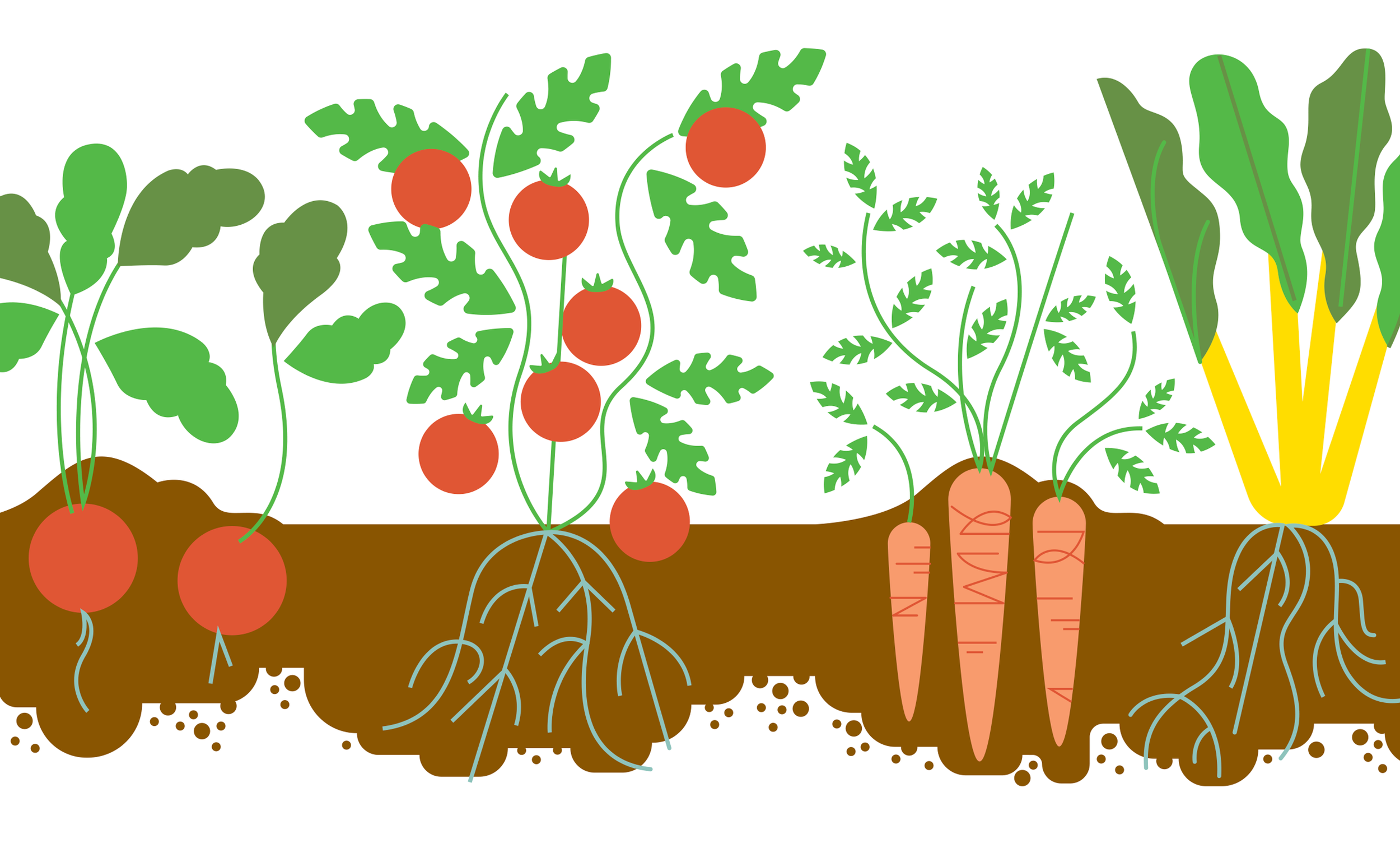 better-homes-veg.png