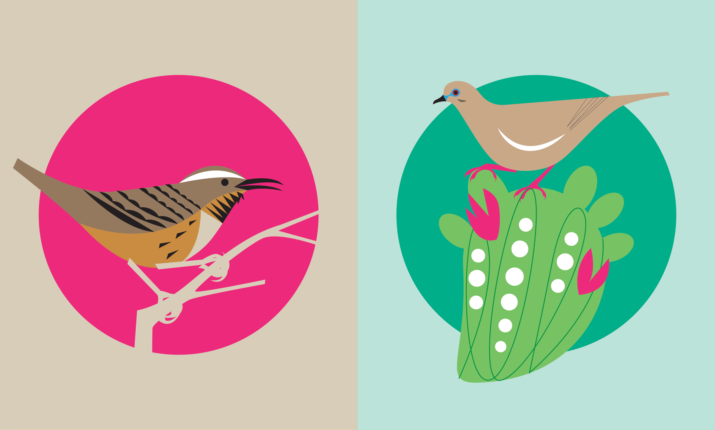 birds2.png