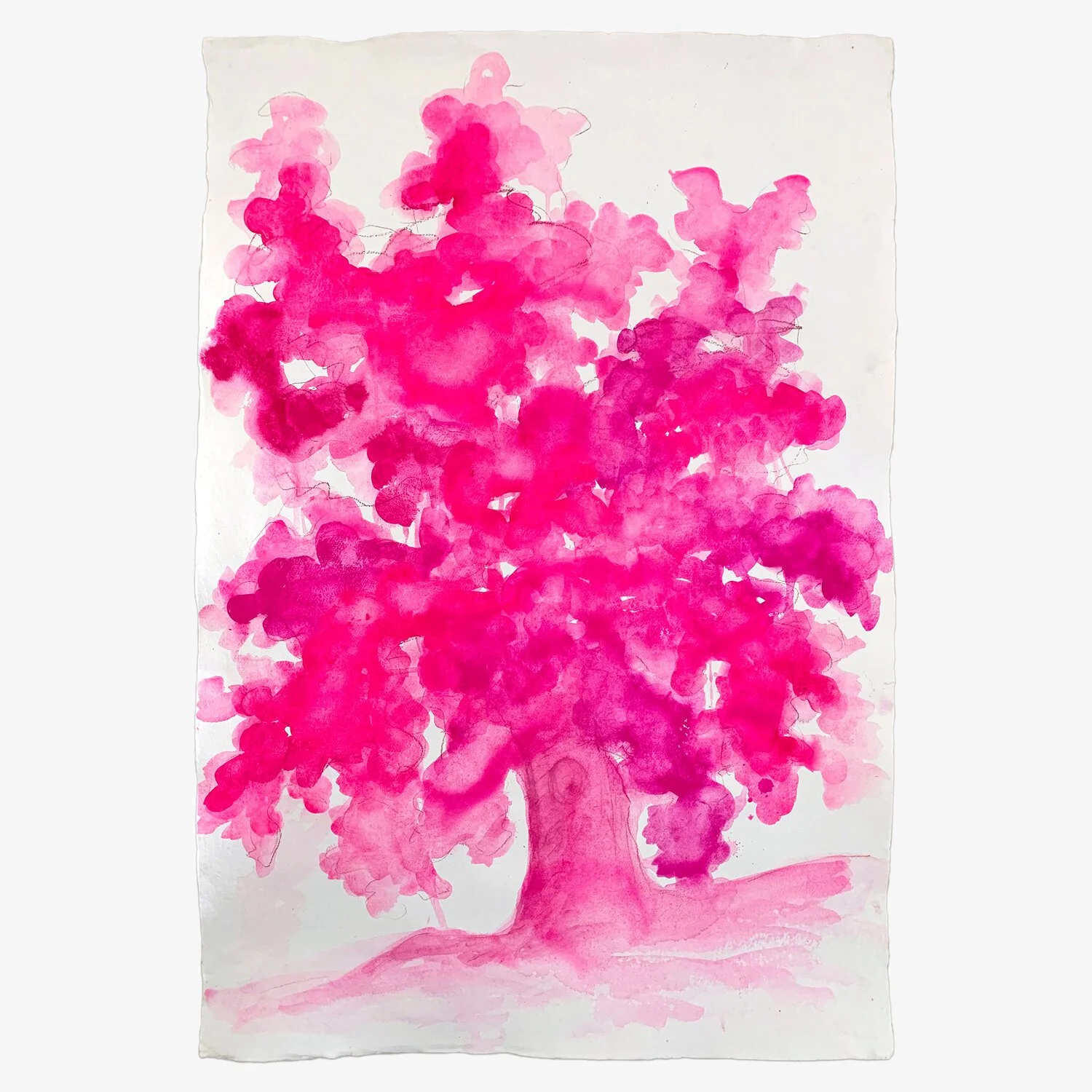 Dessner_Tree_04_square.jpg