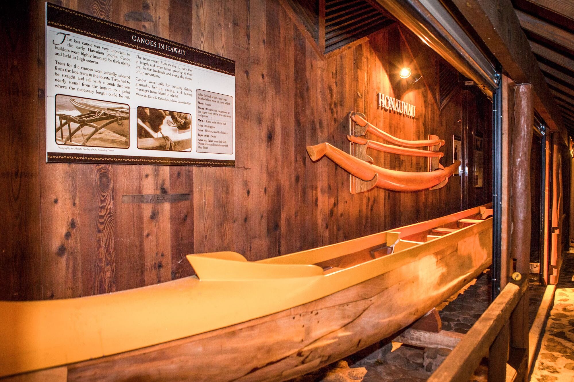 Canoes in Hawaii.jpg