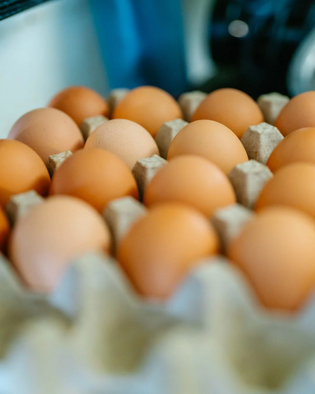 We&rsquo;re proud to source our eggs from Wisdom&rsquo;s Natural Poultry, a local Colorado farm where chickens are raised naturally in an stress-free environment.

Our partners all share a common commitment to sustainability, quality, and caring for 