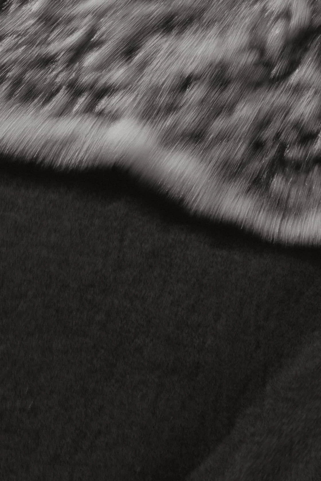 SquarespaceTemplateJackie7.jpg