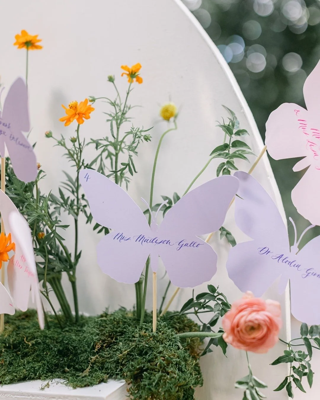 Throwback to these unique butterfly escort cards🦋
.
.
.
 #calligraphy #calligrapher #weddingcalligrapher #customcalligraphy #losangelescalligrapher
@auraelizabethphoto
@janealexandraevents