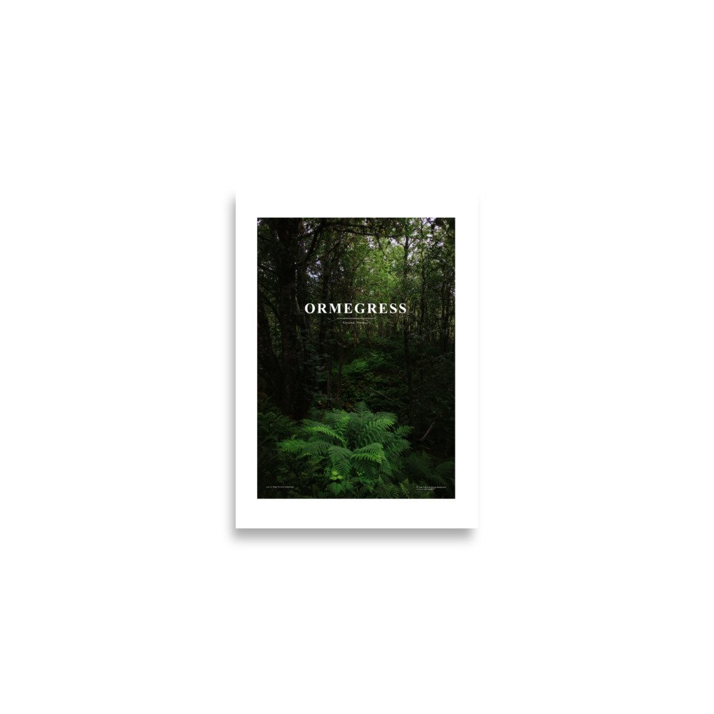 enhanced-matte-paper-poster-(cm)-a2-(42x59.4-cm)-front-672caeac4d879.jpg