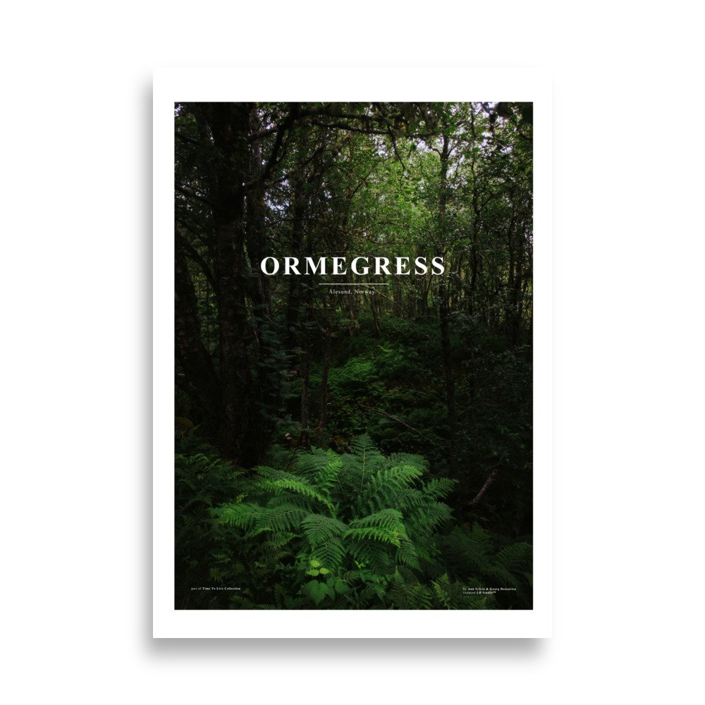 enhanced-matte-paper-poster-(cm)-70x100-cm-front-672caeac4eebd.jpg