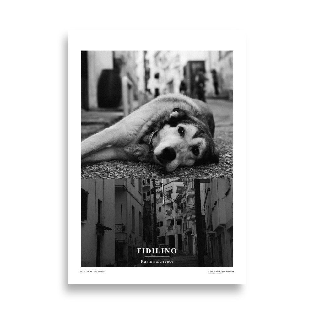 Fidilino - Poster TTL Collection
