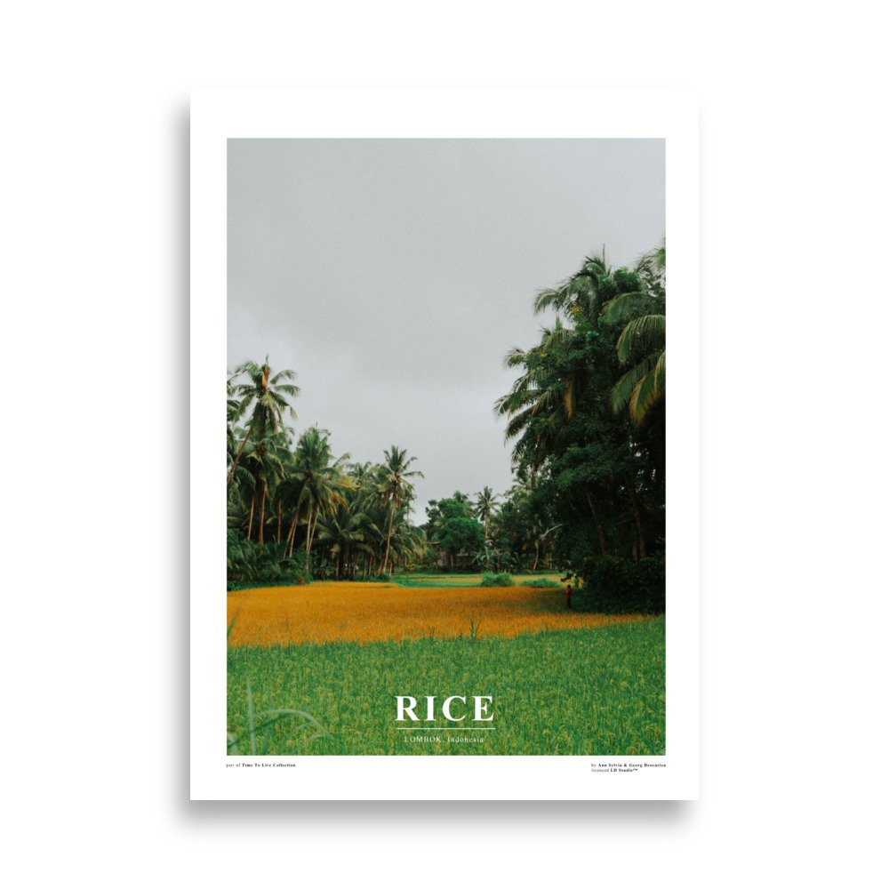 enhanced-matte-paper-poster-(cm)-50x70-cm-front-672cb379b409a.jpg