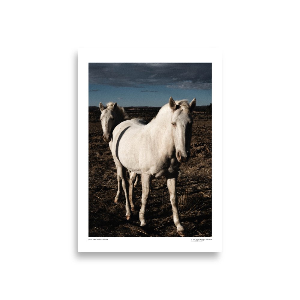 enhanced-matte-paper-poster-(cm)-a1-(59.4x84.1-cm)-front-672f4682245a5.jpg