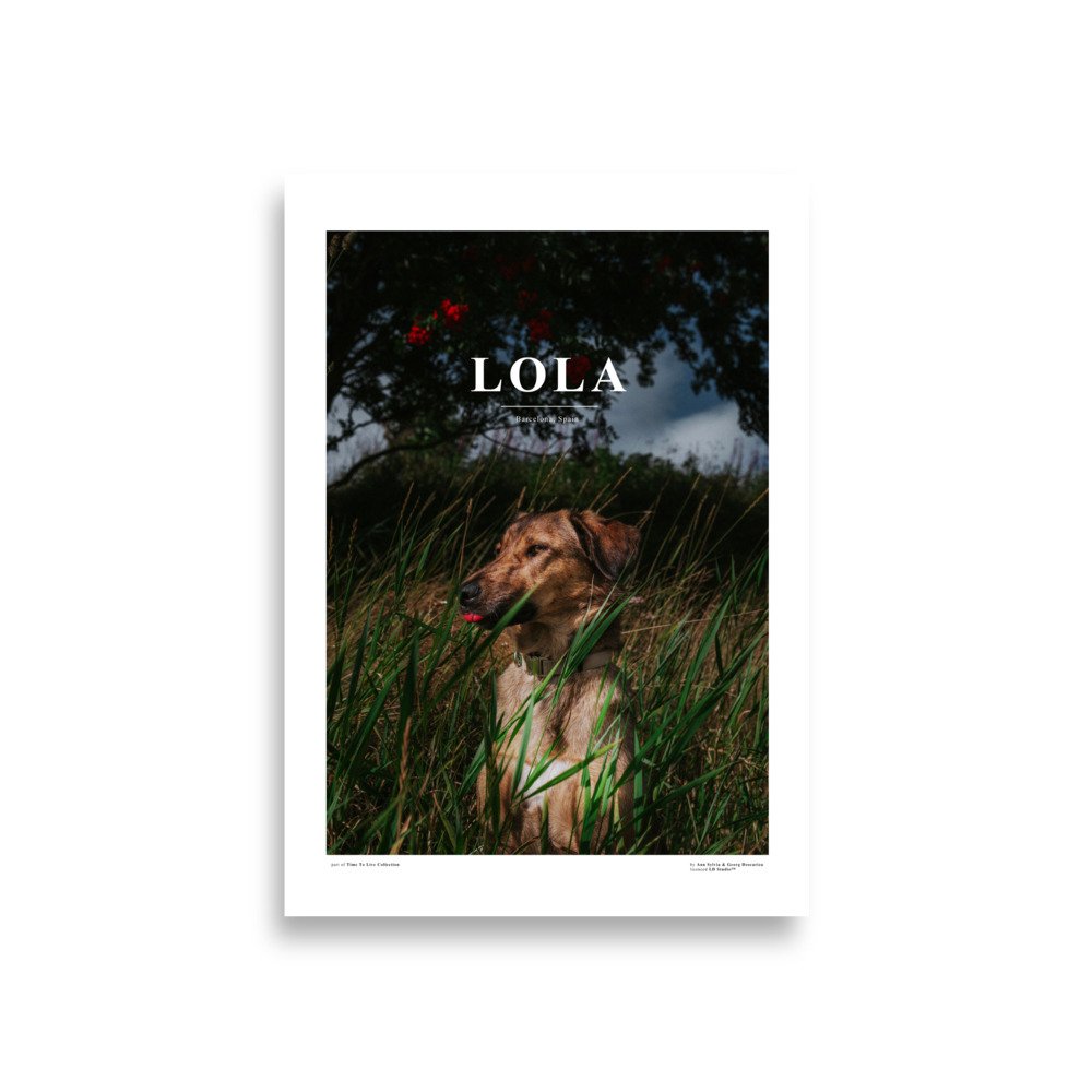 enhanced-matte-paper-poster-(cm)-a1-(59.4x84.1-cm)-front-672f526685664.jpg