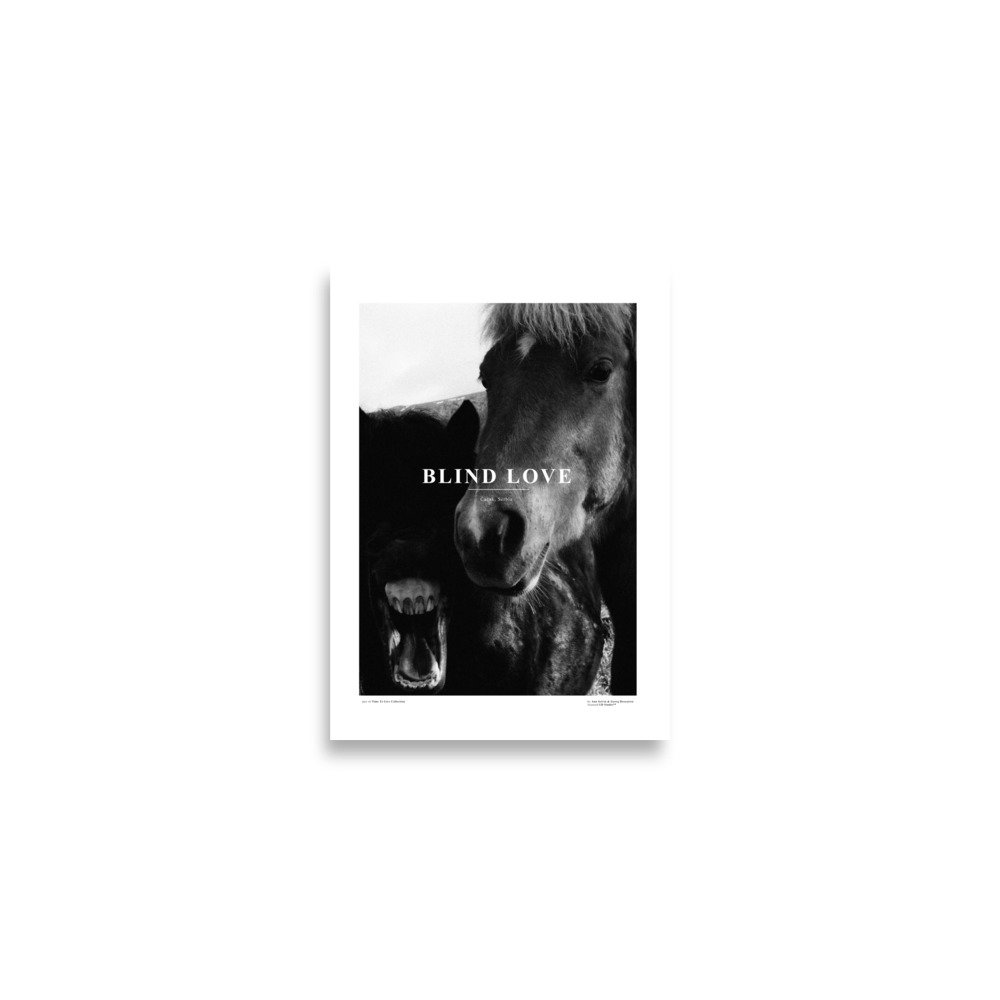 enhanced-matte-paper-poster-(cm)-a2-(42x59.4-cm)-front-67478f5ba79f8.jpg