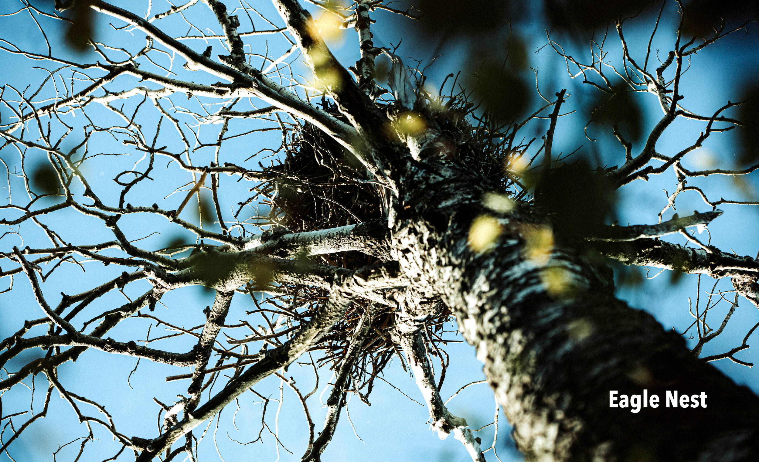 Eagle Nest-7154.jpg