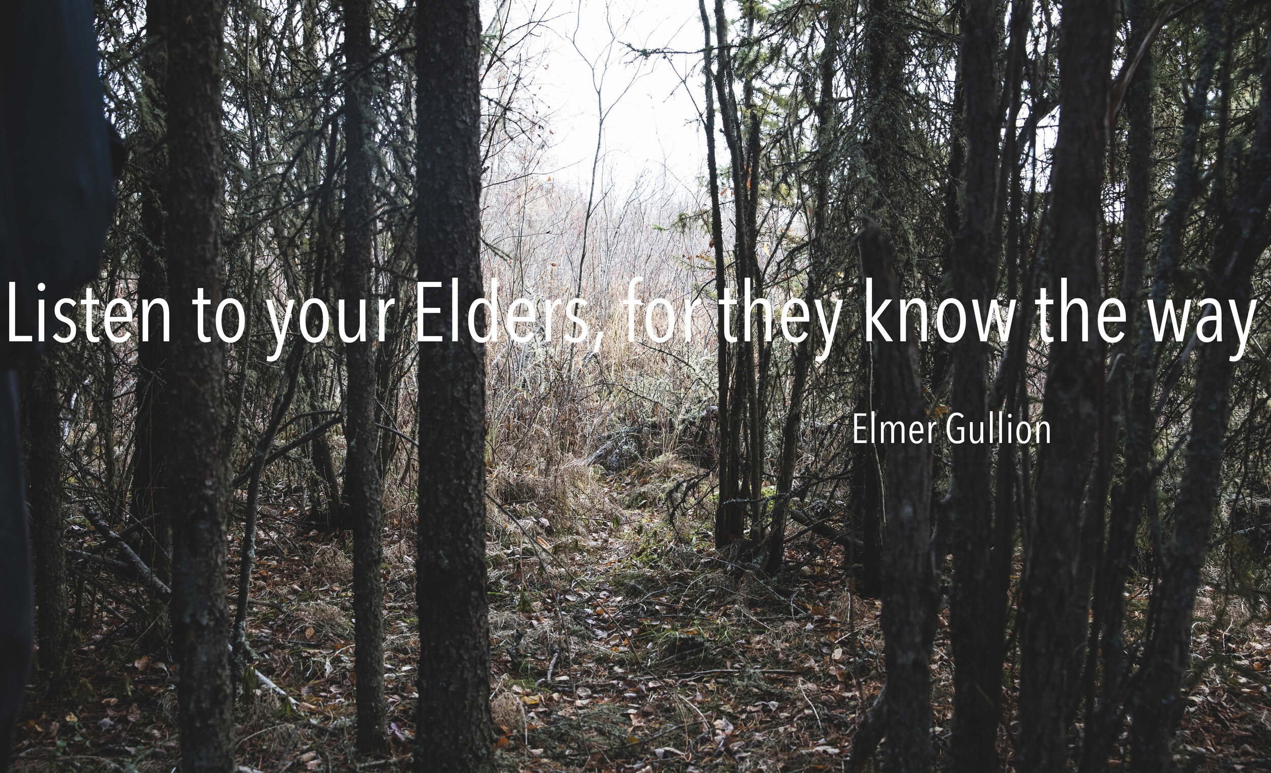 Elmerquote-quote.jpg