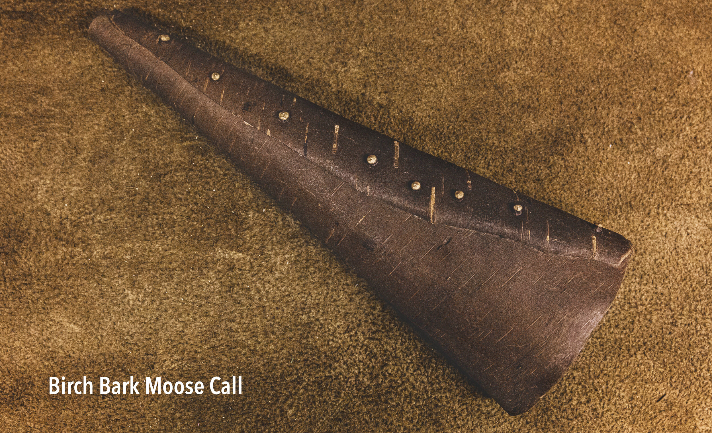 Moose call-8586.jpg