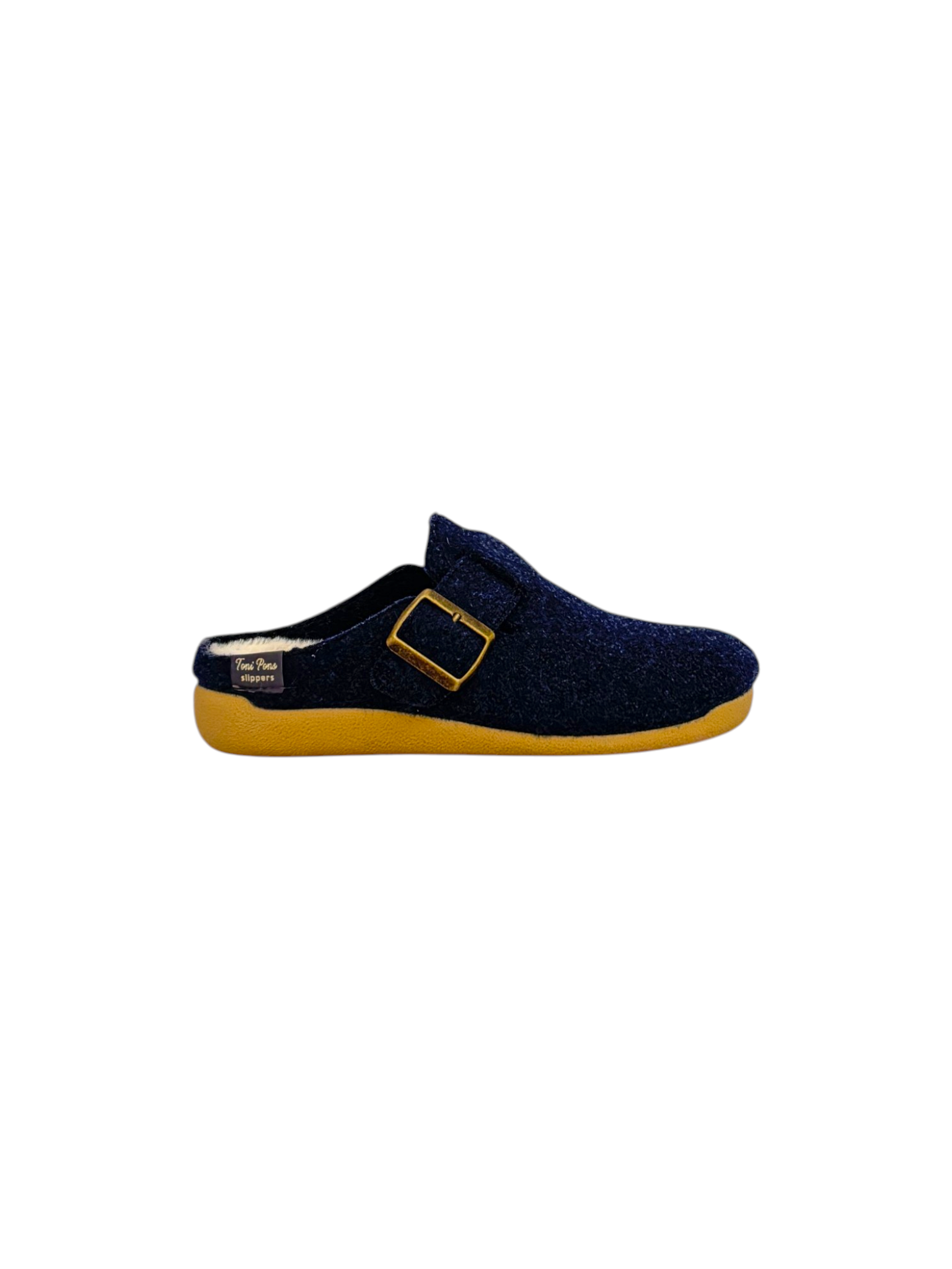 Toni Pons MIMA-FP Bleu.png