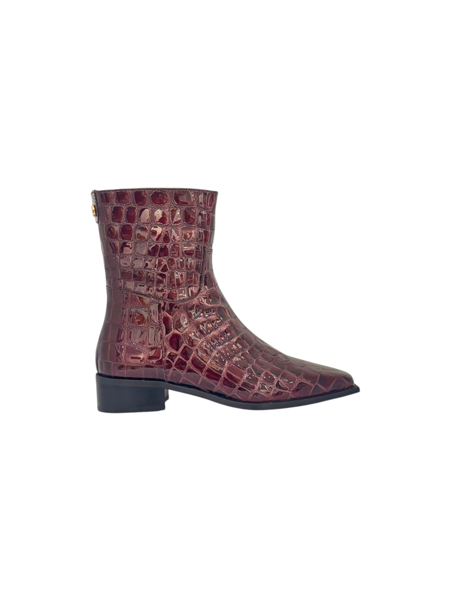 MLV Ricarda 02 Bordo Croco