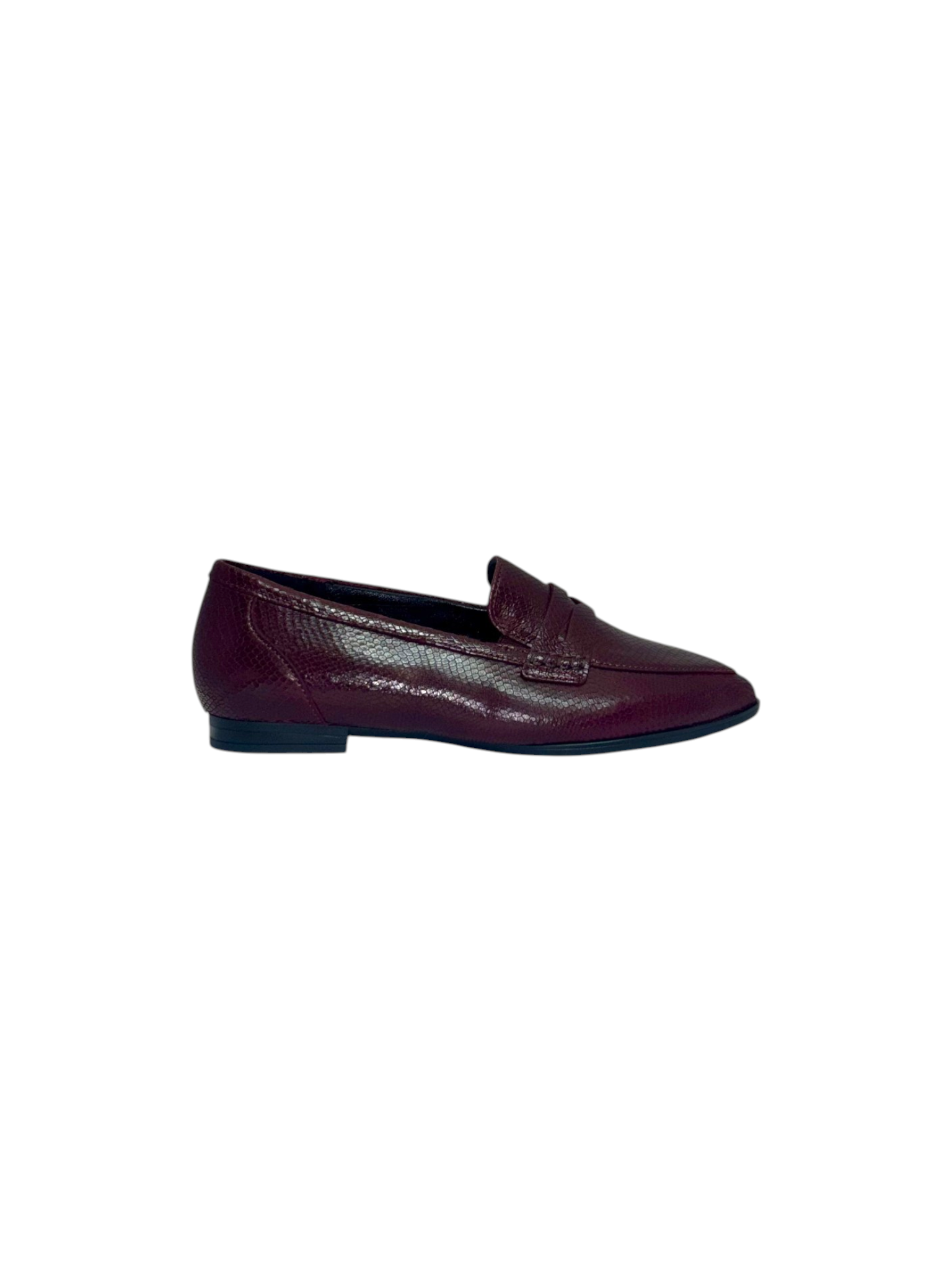 Gabor 3019.01.002 Bordo Serpent.png