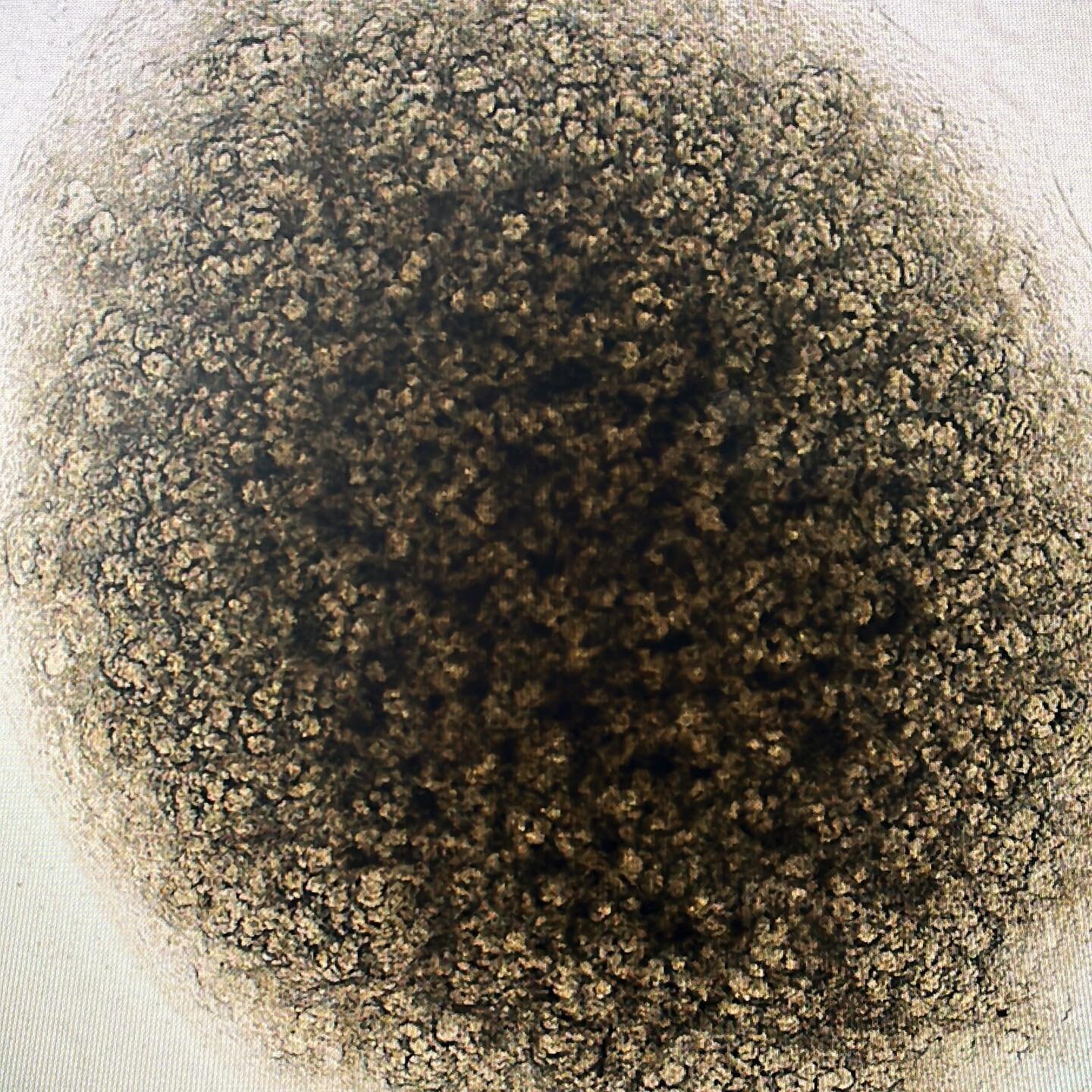 We are very excited to be growing our first kidney organoids! They look so beautiful! Always exciting to introduce new techniques to our lab arsenal. 
#organoids #kidneyorganoids
