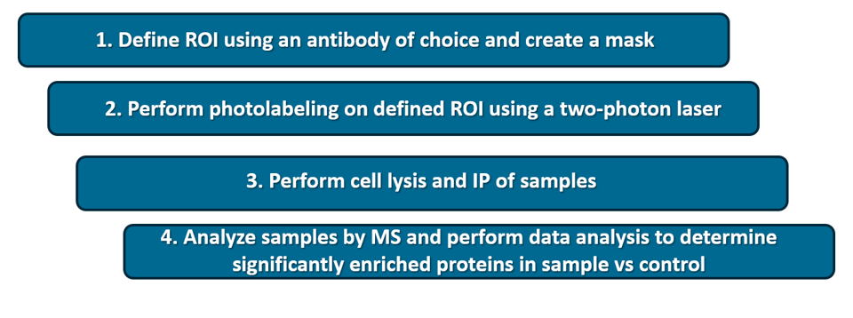 Microscoop Mint — Roepman Lab