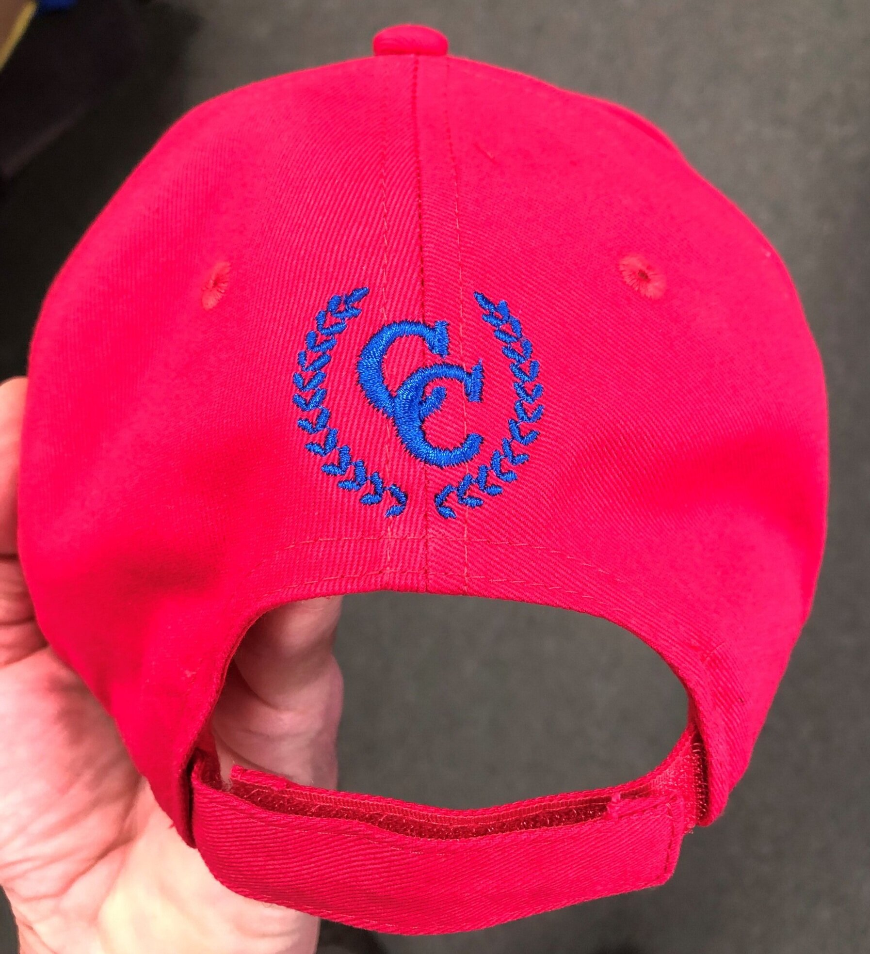 back+of+hat.jpg