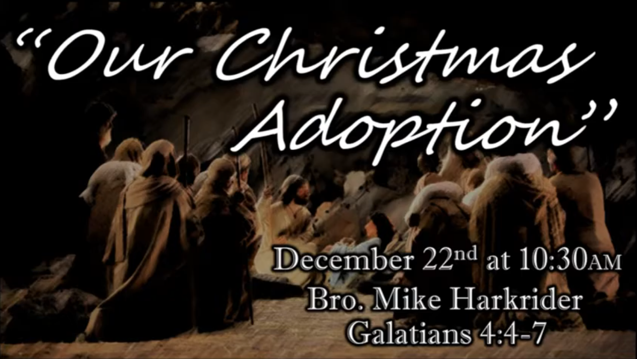 Our Christmas Adoption