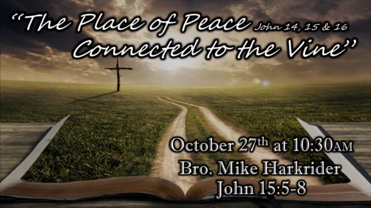 The Place of Peace - Connected to the Vine