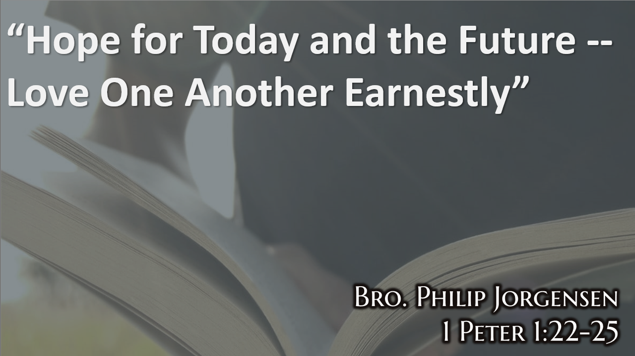 Hope for Today and the Future -- Love One Another Earnestly