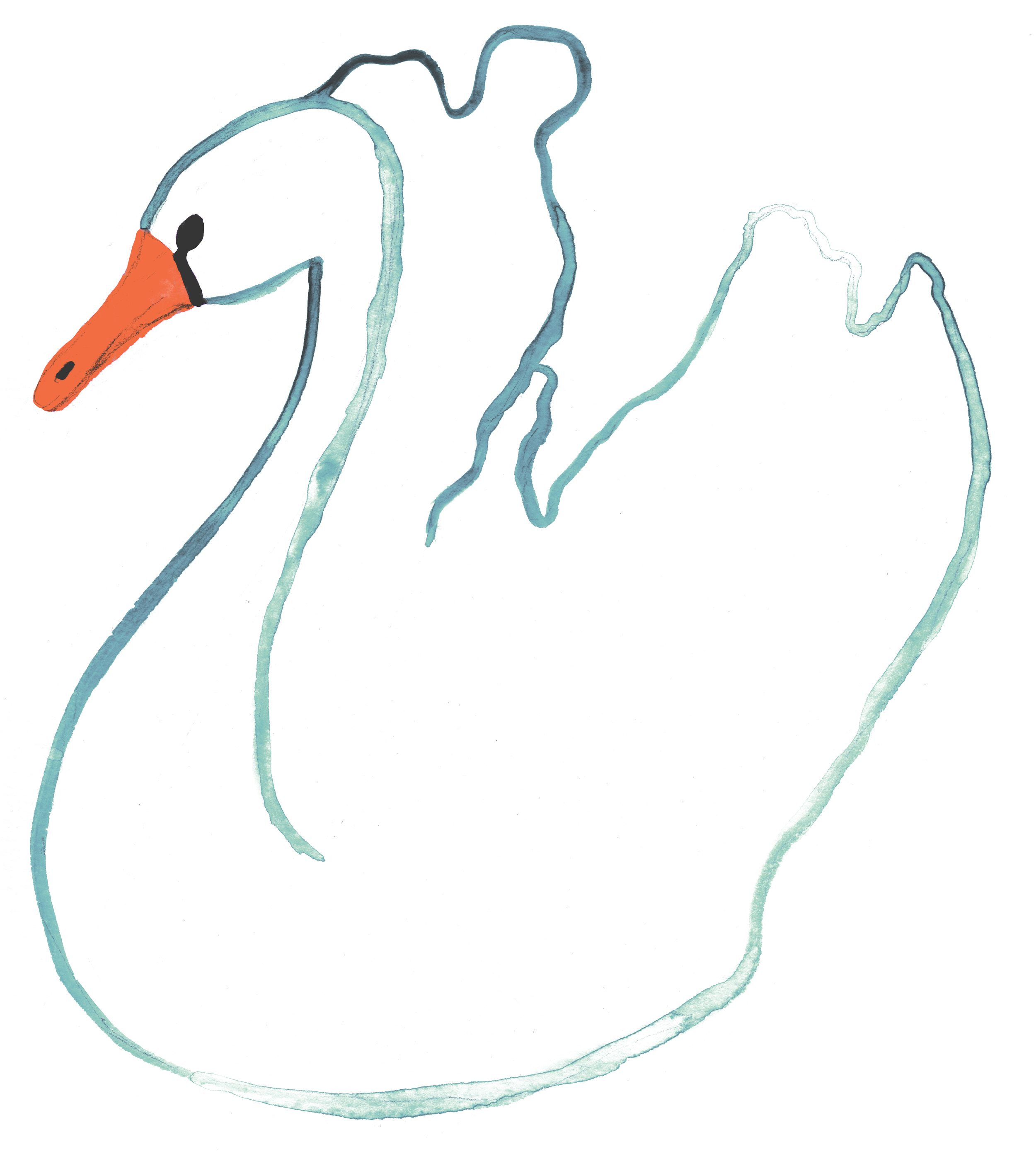 swan.png