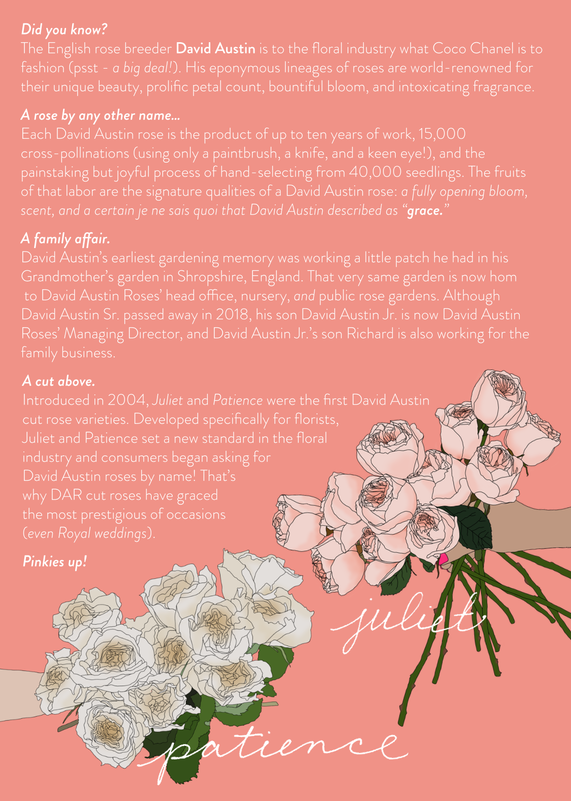 Screenshot 2026-02-02 at 1.18.22 PM.png