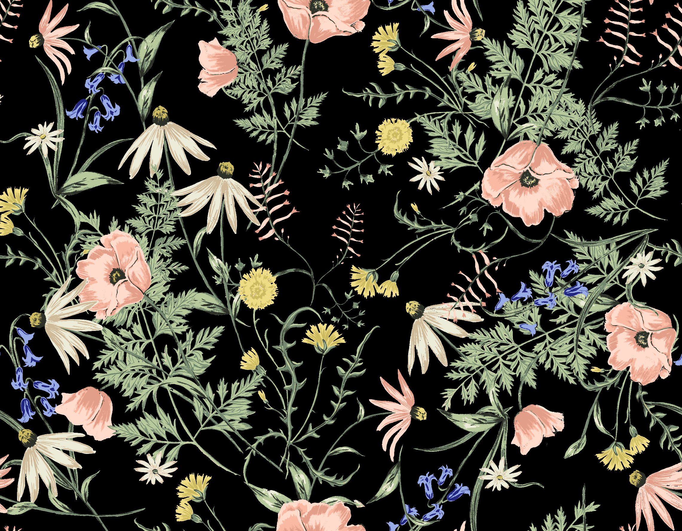 Amuse Society Summer 2021 Prints