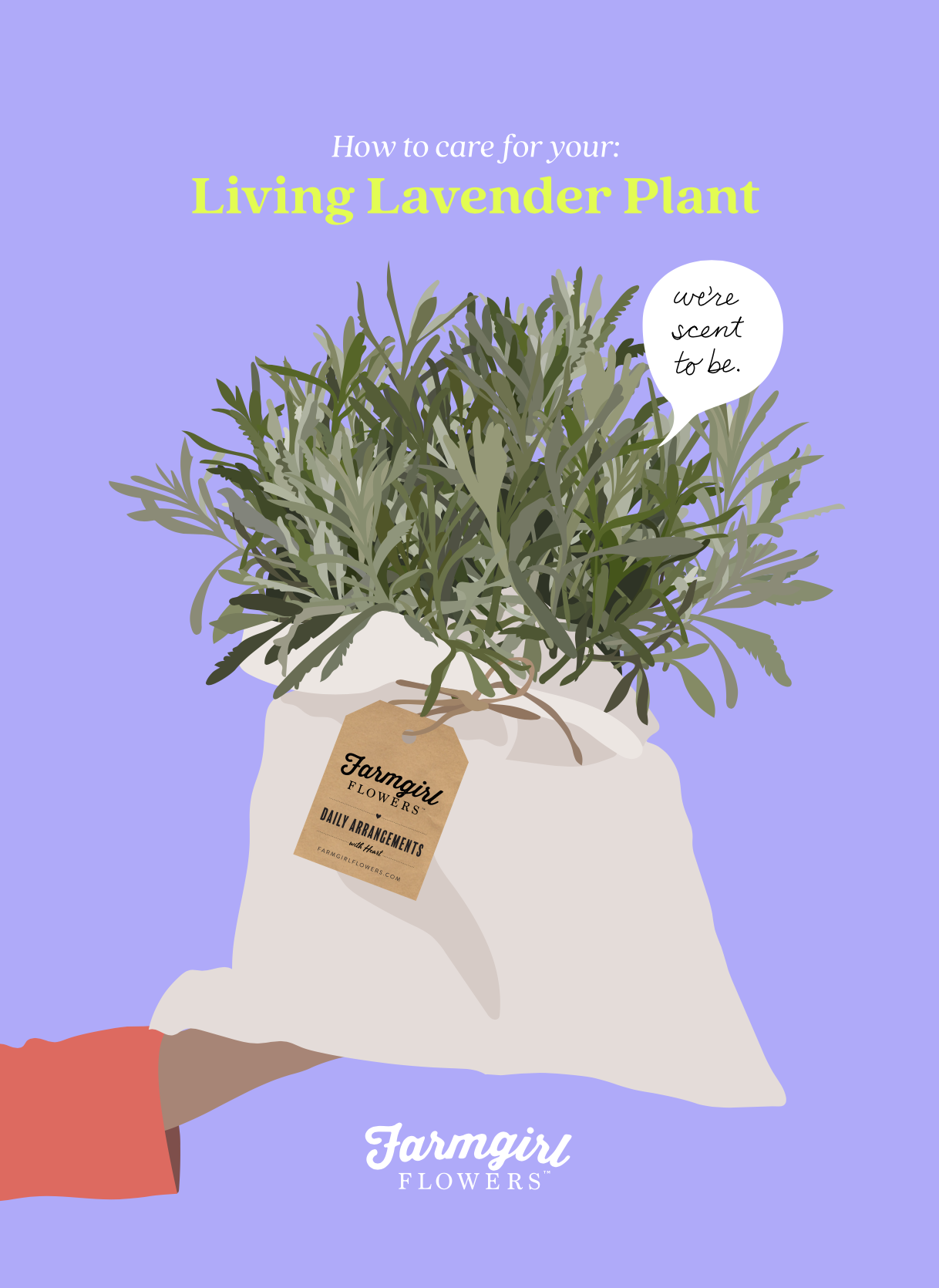 Screenshot 2026-02-02 at 1.16.04 PM.png