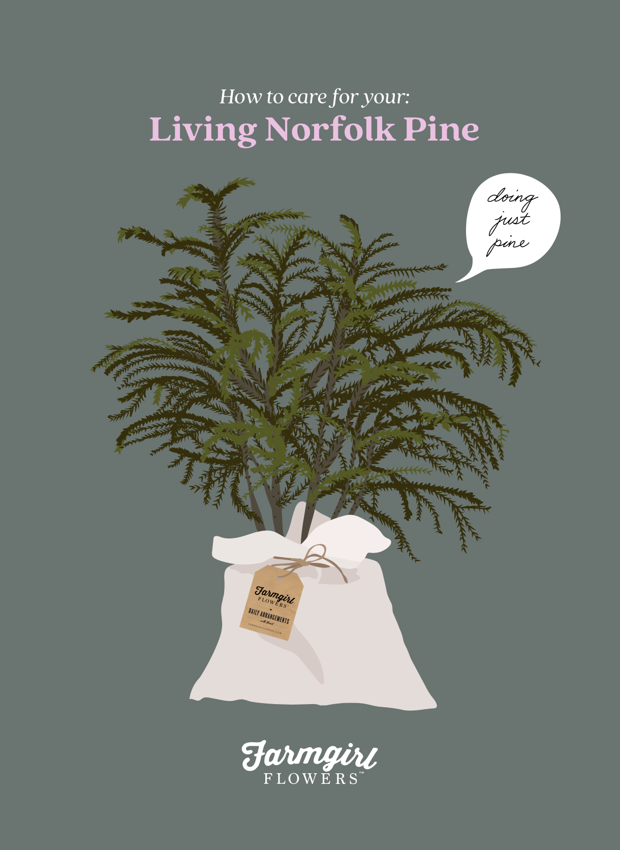 Screenshot 2026-02-02 at 1.15.52 PM.png