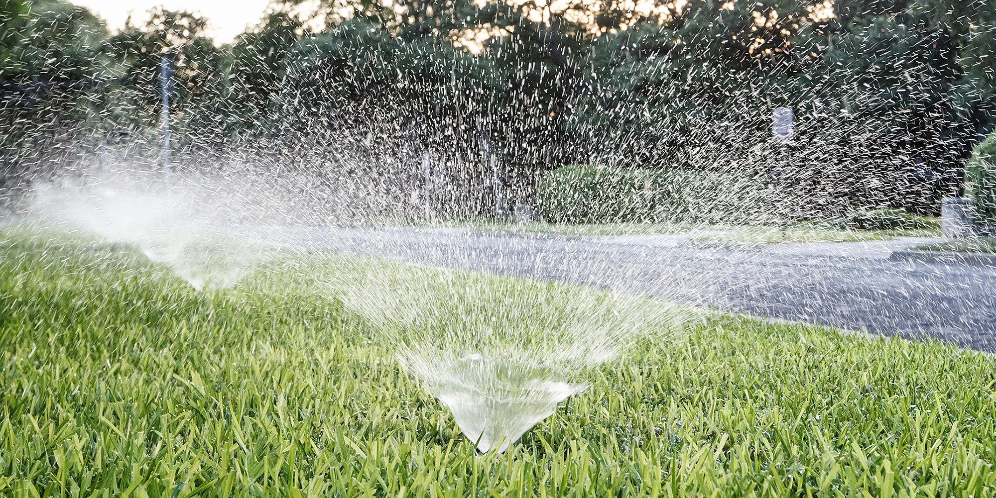 A garden sprinkler spraying water over a green grassy lawn with trees and a sidewalk in the background.