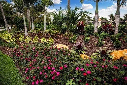 Tropical garden with palm trees, colorful flowers, and decorative rocks under a partly cloudy sky.