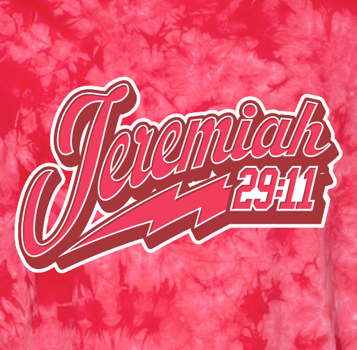 Apparel design featuring the name 'Jemiah' with the numbers '29:11' on a pink tie-dye background.