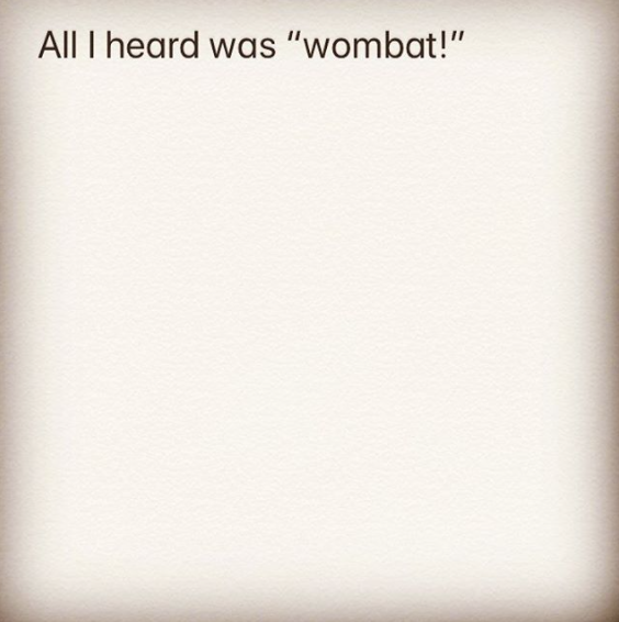 _Wombat.png