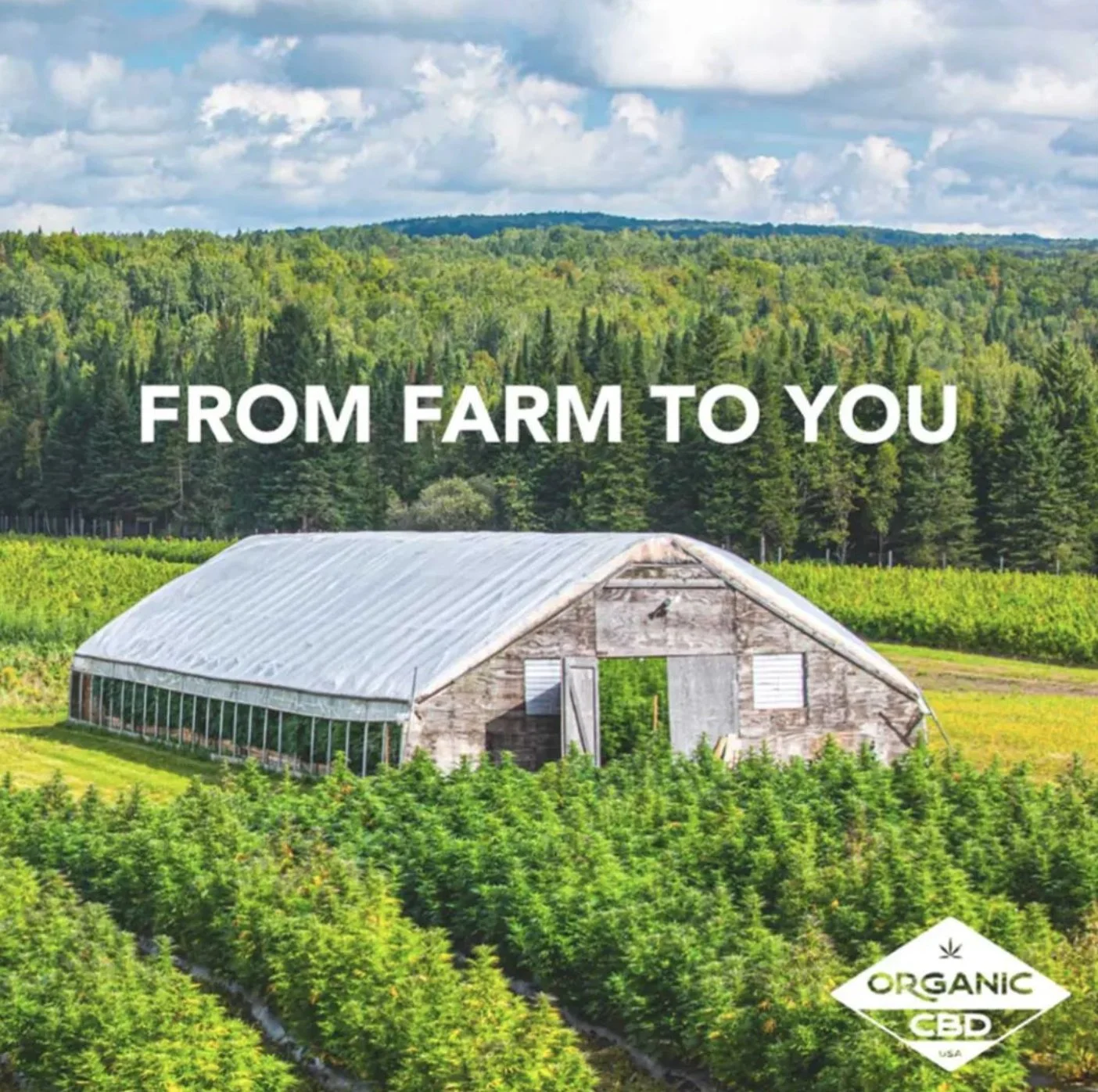1_Farm_F.jpg
