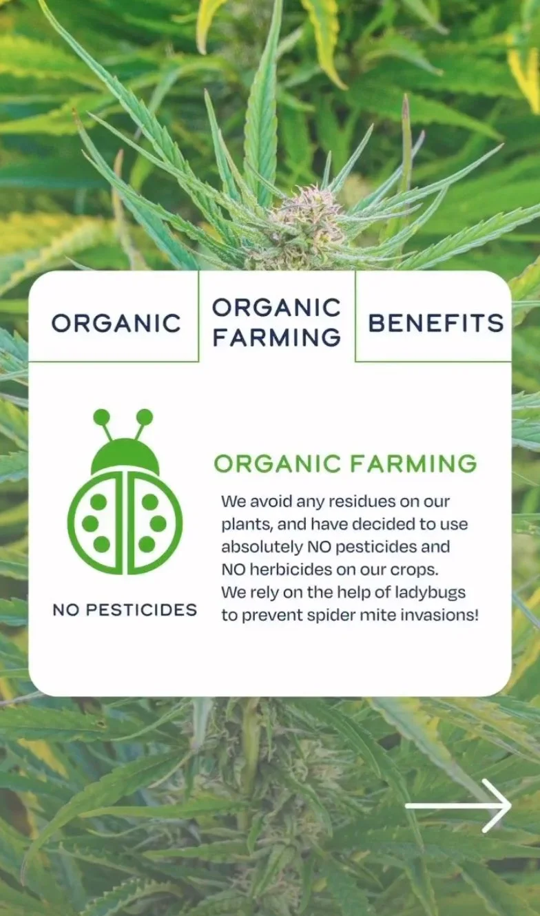 10_Farm_K.jpg