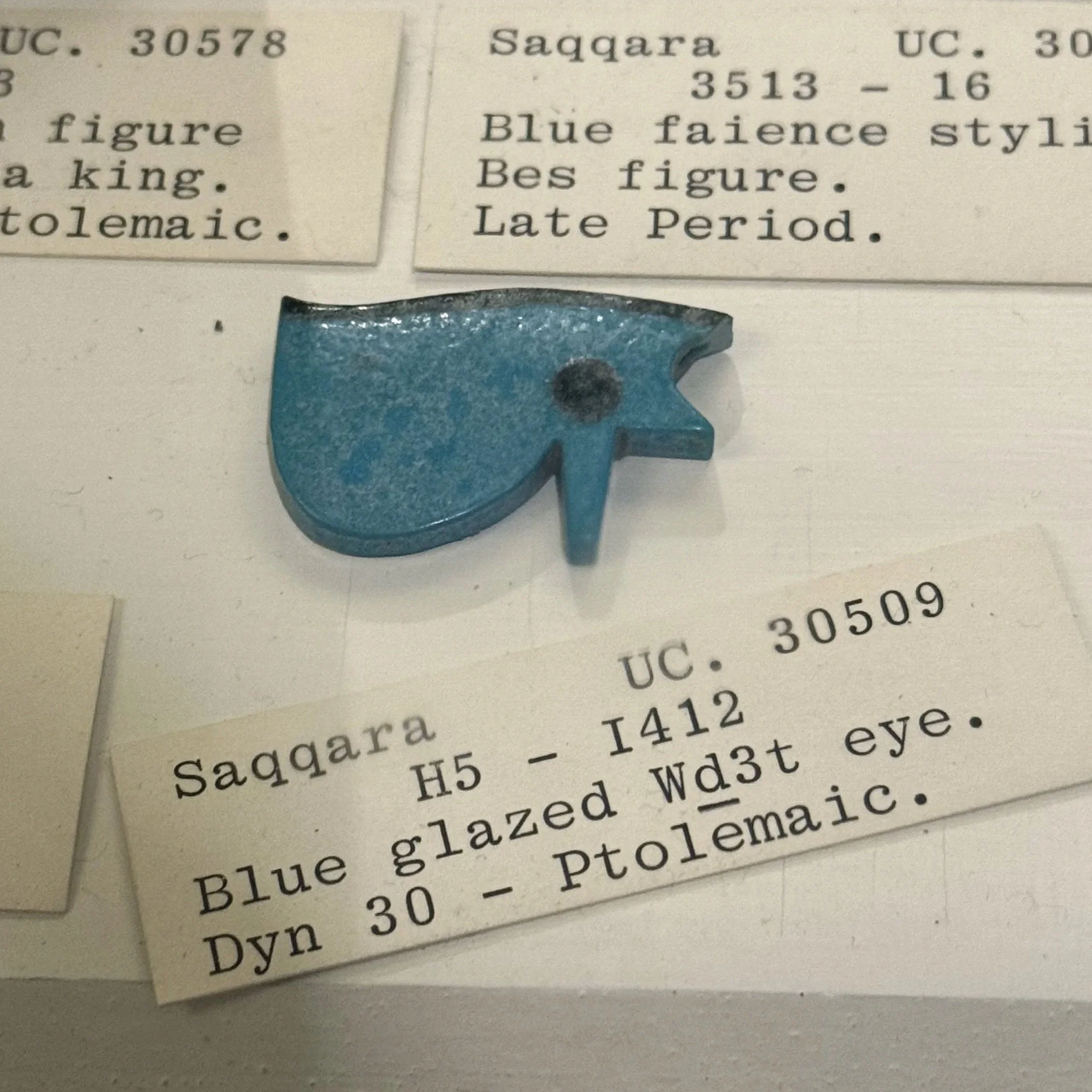 Wedjat Eye, Petrie Museum, UCL (UC 30509)