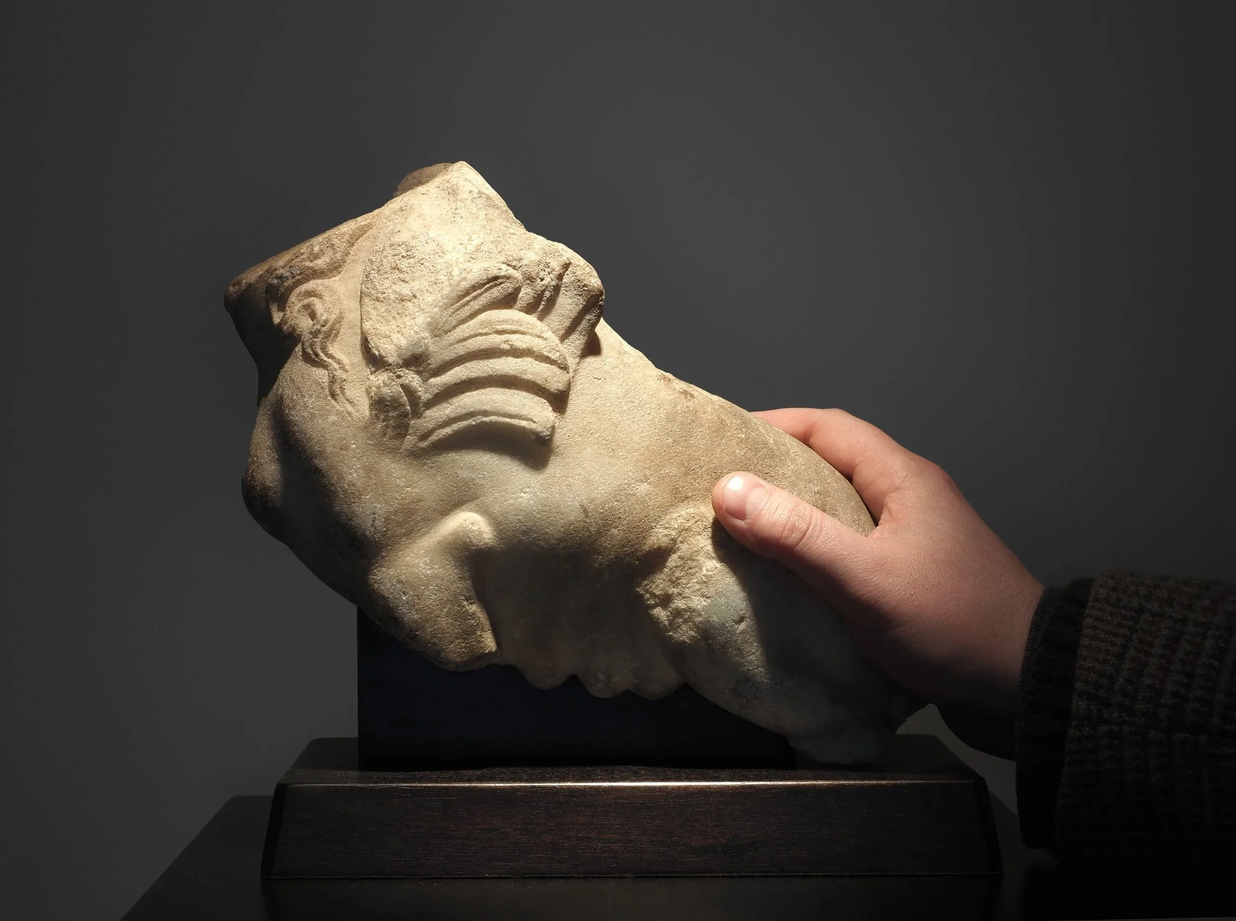 SPHYNX2.jpg