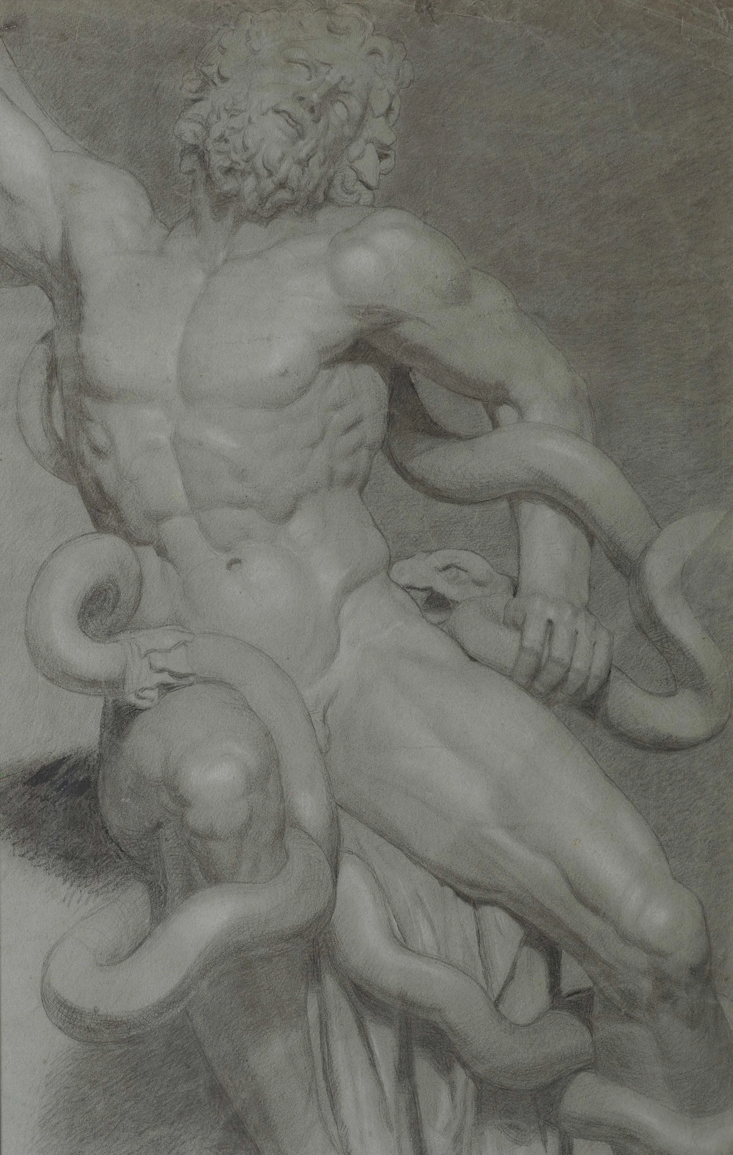 STUDY OF THE LAOCOÖN