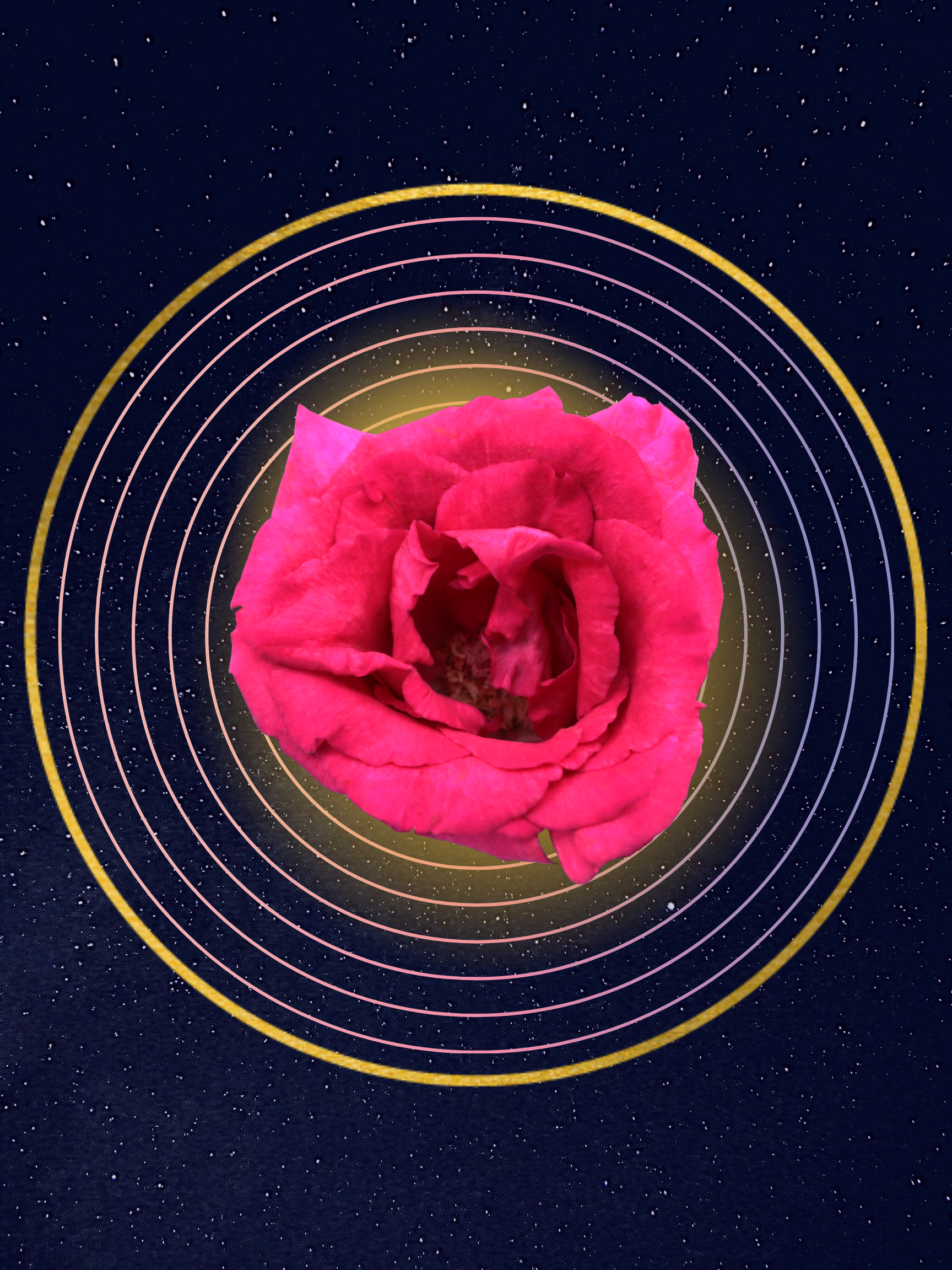 Untitled design (2).png