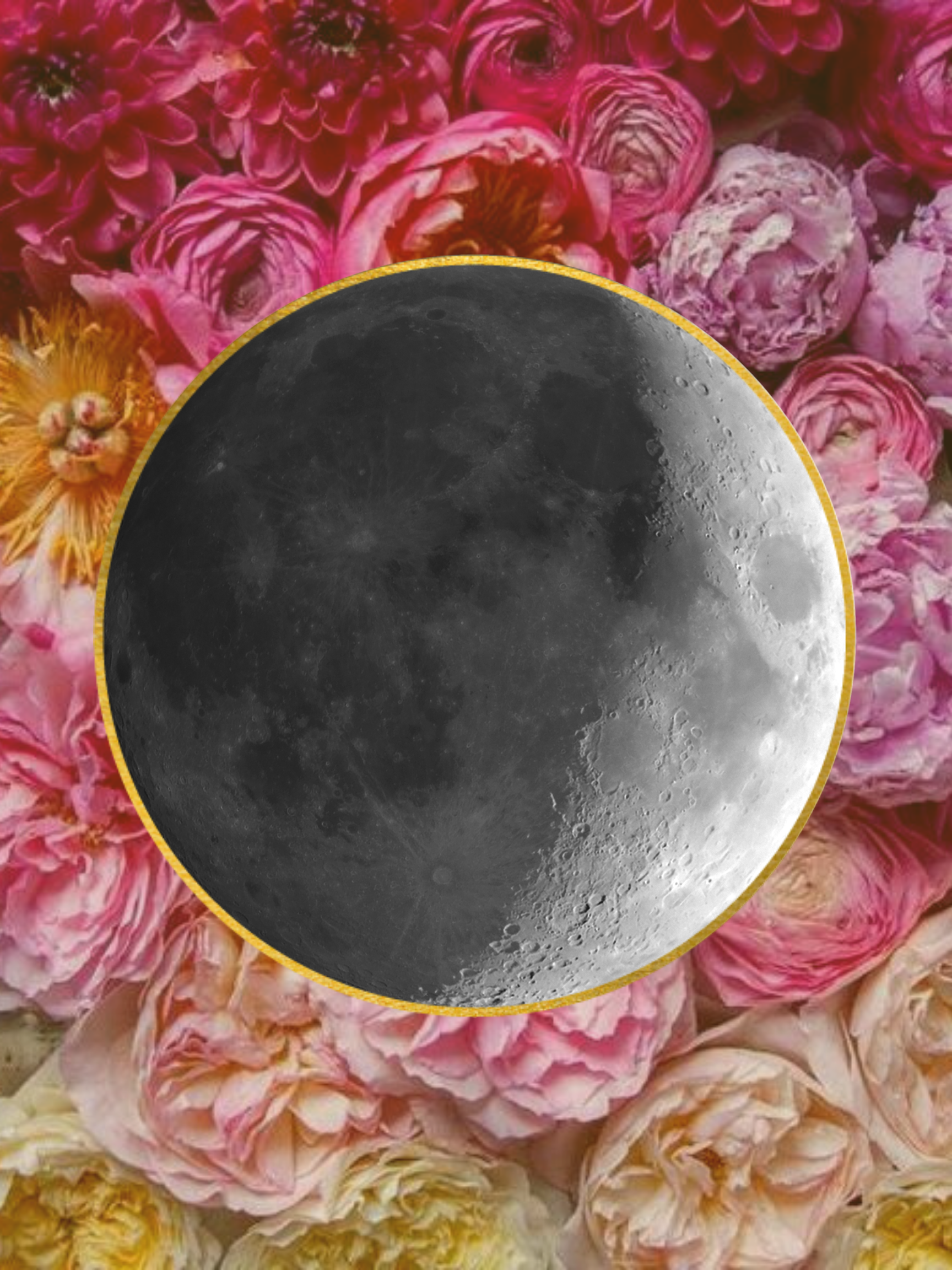 the language of self-care (1).png