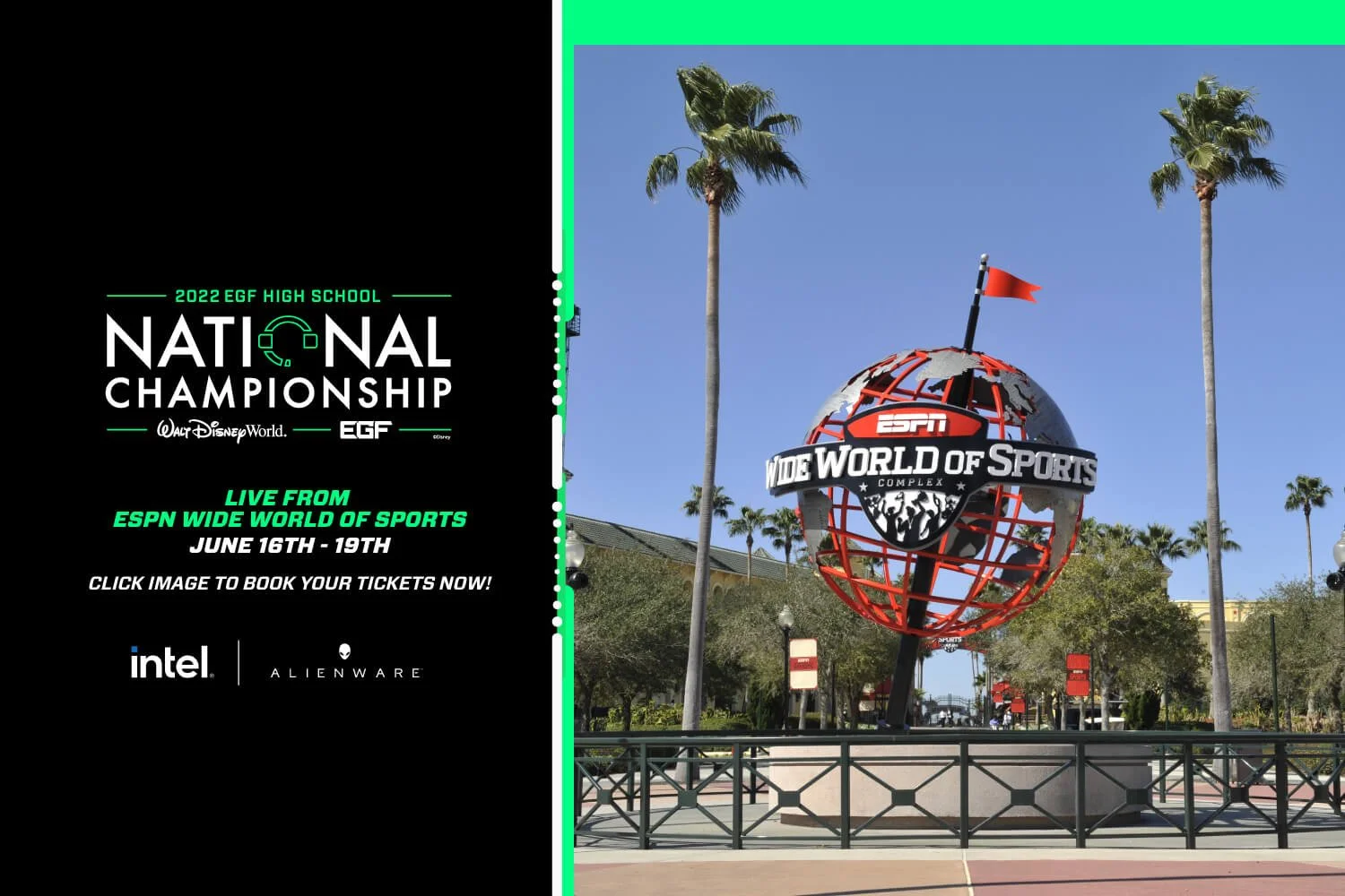 EGFH Disney Natl Carousel Image-01.jpg