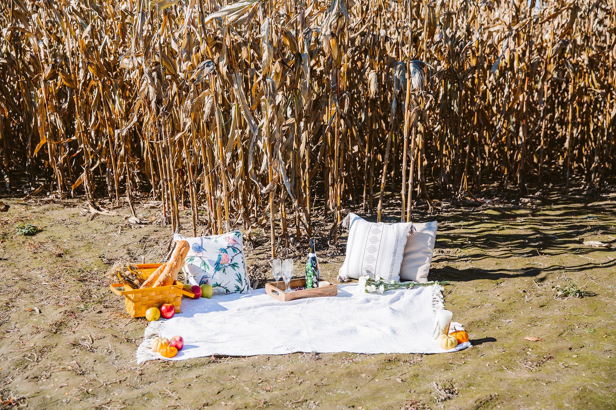 wedding proposal props.jpg