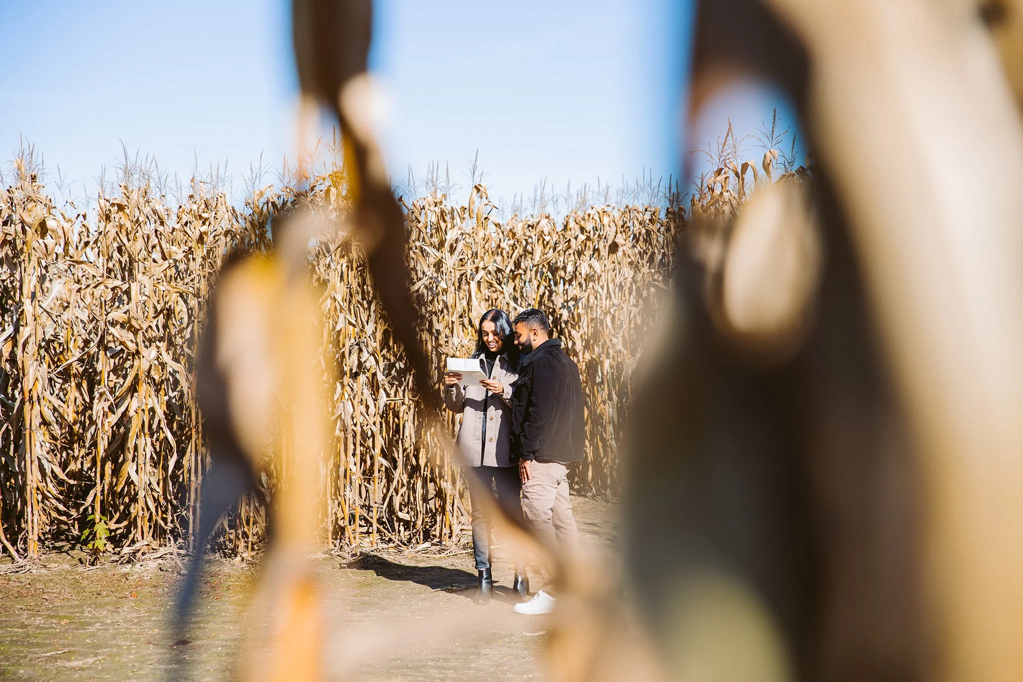 mikes corn maze photos.jpg