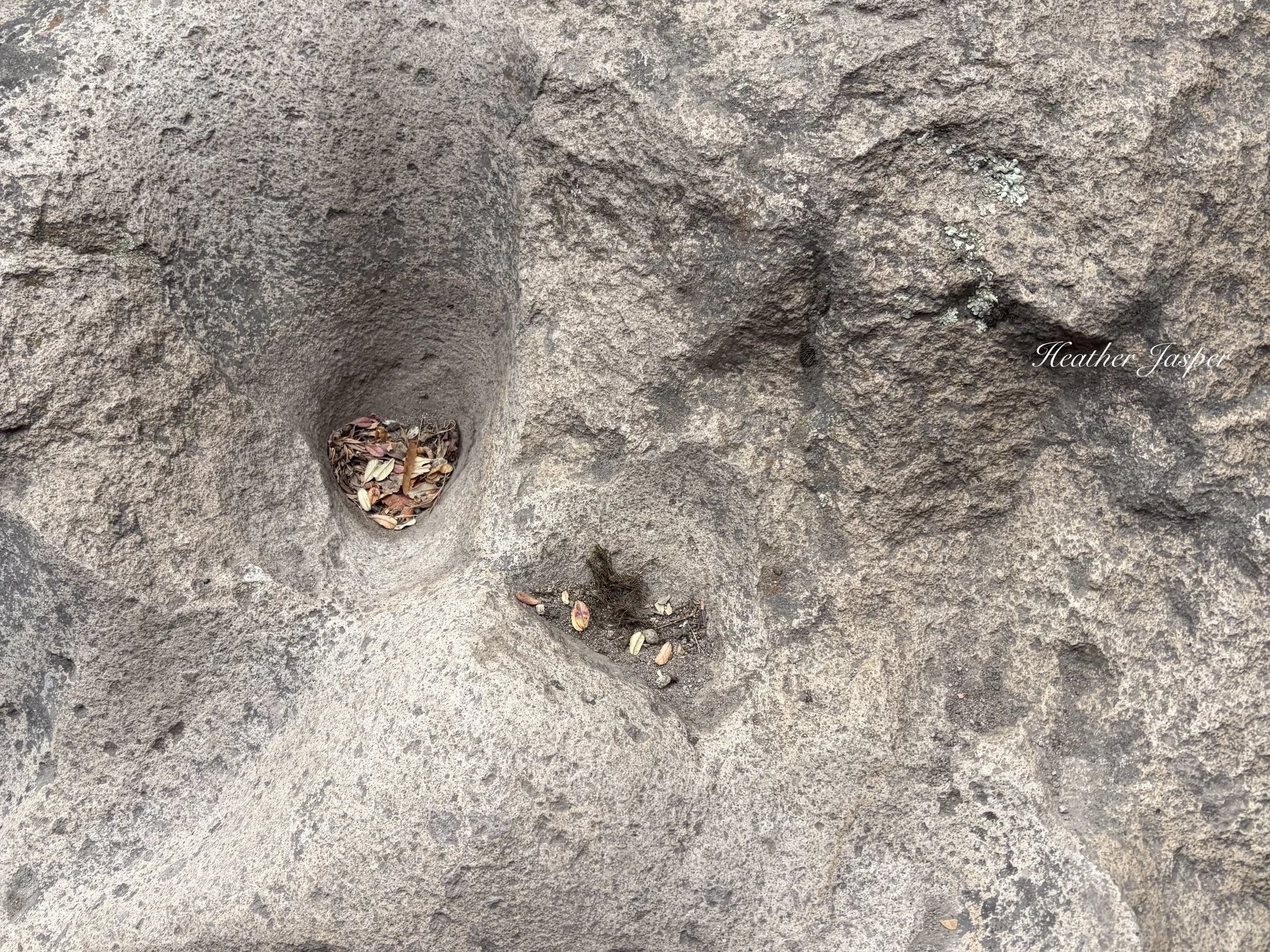 llama footprint at Taqrachullo Peru
