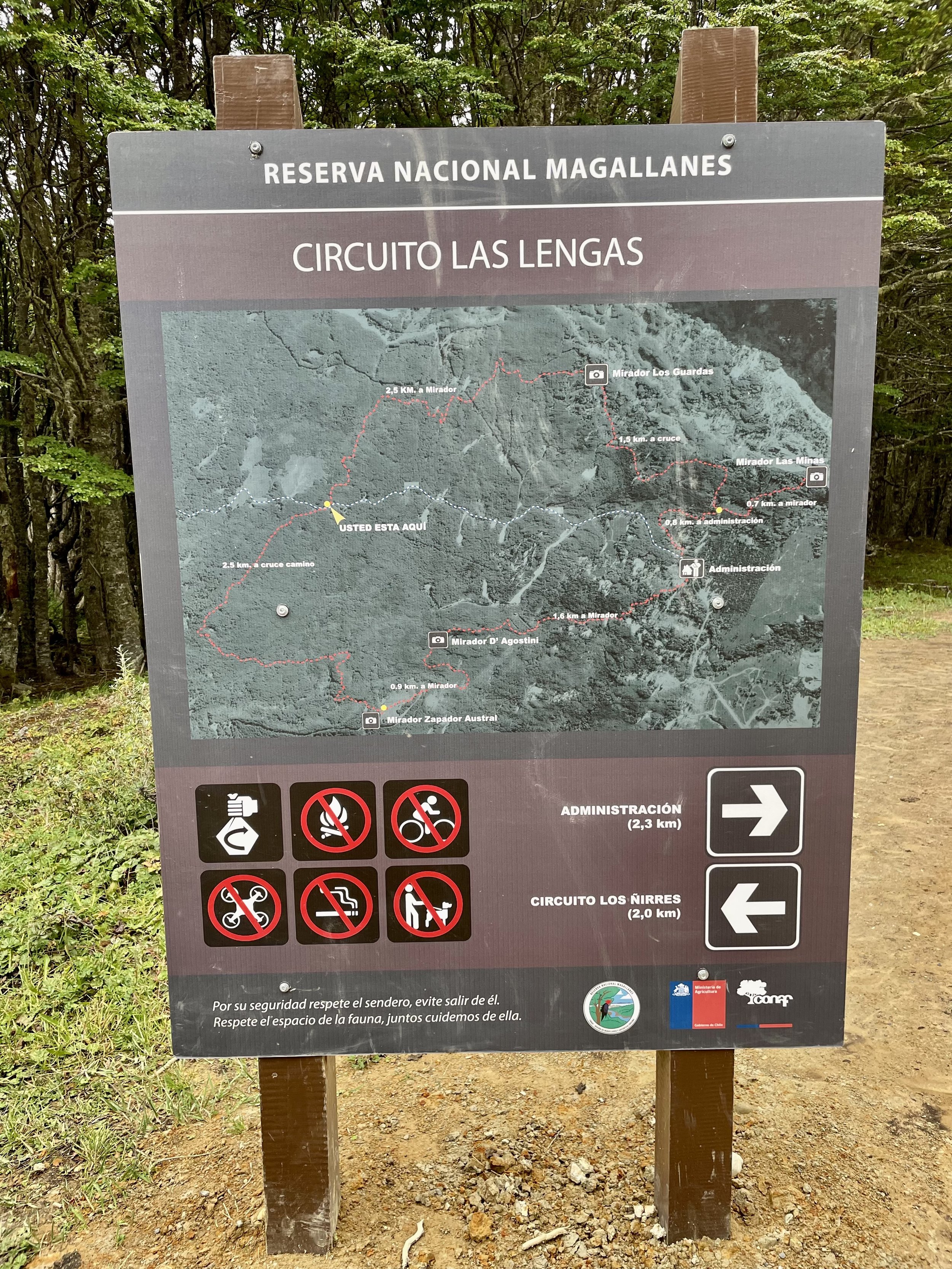 Reserva Nacional Magallanes 4.jpeg