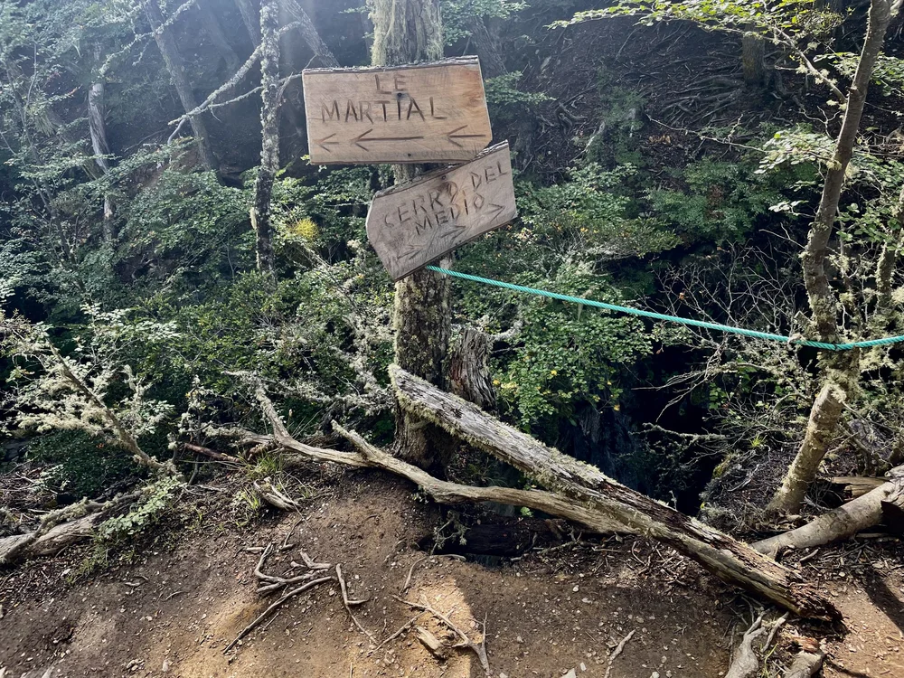 The trail through the woods also has signs.
