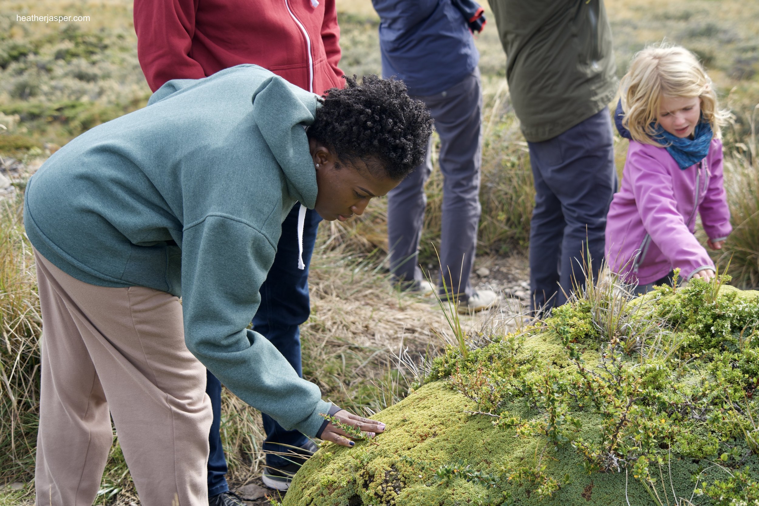 beagle channel plants w tourists.jpeg