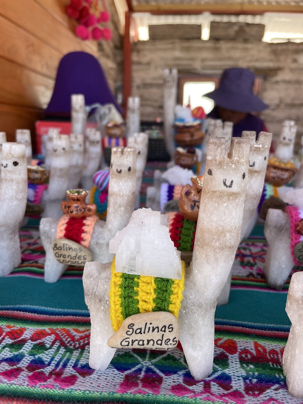 salt llama 2.jpeg